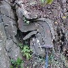 image of Figure 88